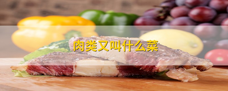 肉类又叫什么菜