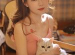 替嫁后:哥哥们下跪求我回家 洛西凌秋(替嫁后:哥哥们下跪求我回家)全文免费阅读无弹窗大结局
