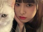 杨蜜：让你唱歌，把逃犯全唱落网沈飞杨蜜小说免费阅读-小说推荐沈飞杨蜜精彩章节在线阅读