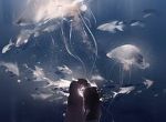 周野沈星赫小说好看吗-周野沈星赫最后结局如何周野沈星赫小说免费阅读